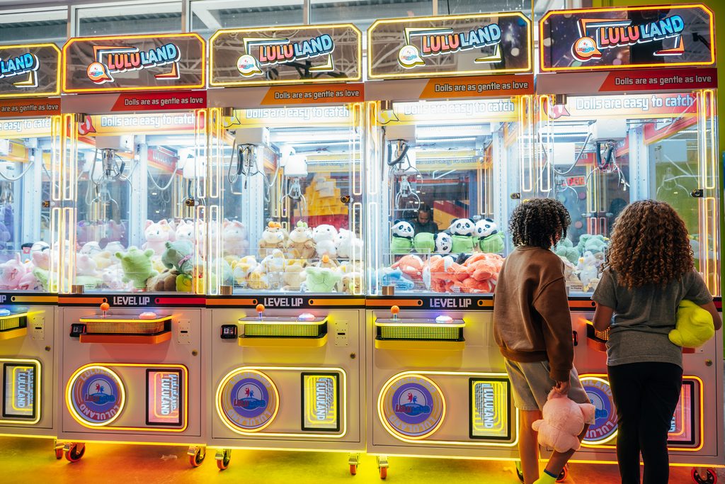 Claw Machine at Arcade